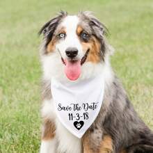 Chó cưng tùy chỉnh cá nhân hóa Lưu ngày Bandana trắng Đám cưới Thông báo đính hôn Trang trí tiệc cô dâu Đạo cụ chụp ảnh Quà tặng lưu niệm - trắng - Xem 3