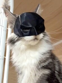 Mũ bảo hiểm dơi bằng nhựa cho mèo, có thể làm cho mèo thời trang hơn, mũ che mặt cho thú cưng, phụ kiện nửa mặt vui nhộn và phong cách cho thú cưng - Nhiều màu - Xem 9