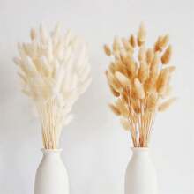 110 PCS Dried Pampas Grass Bouquet, Boho Table Decor, Bunny Tails Dried Flowers, Brown Pompas, White Pampas Grass For Wedding, Home, Rustic Party, Baby Shower Decorations - 彩色 - 查看 11