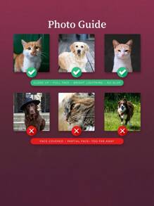 Funda de teléfono antideslizante de combinación suave-dura TPU+PC con texto láser personalizado e imagen de mascota compatible con iPhone/Galaxy/Redmi/Oppo