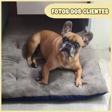 Pet Bed & Crate Mat - Khaki - View 9