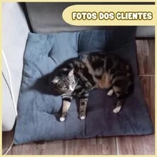 Pet Bed & Crate Mat - Khaki - View 10