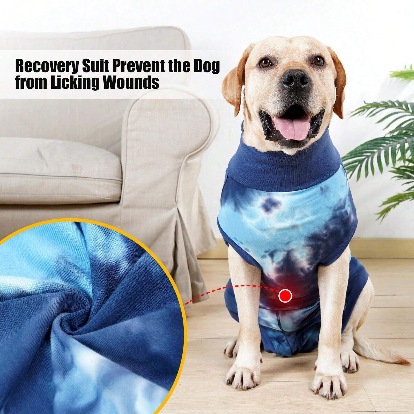 Dog Surgery Recovery Suit For Abdominal Wound, ECollar Cone