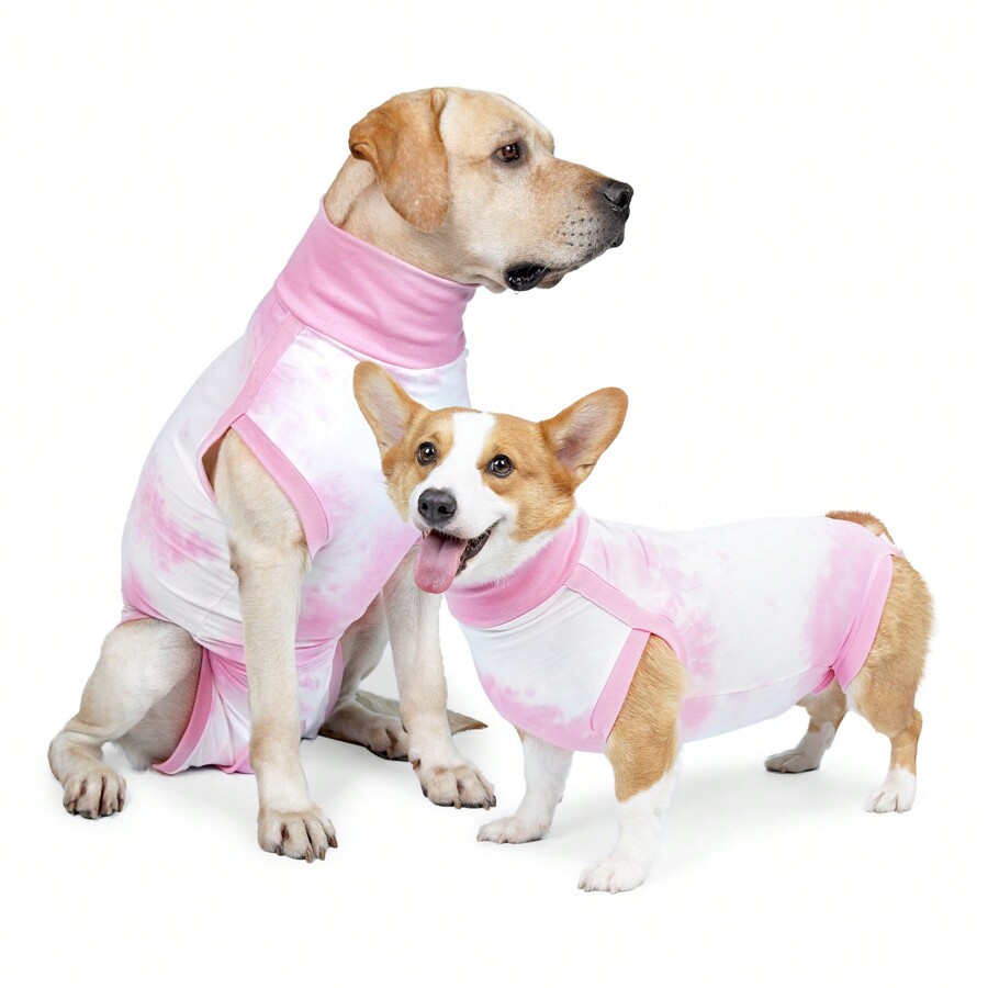 Dog Surgery Recovery Suit For Abdominal Wound, ECollar Cone