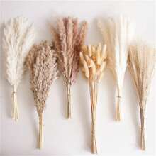 110 PCS Dried Pampas Grass Bouquet, Boho Table Decor, Bunny Tails Dried Flowers, Brown Pompas, White Pampas Grass For Wedding, Home, Rustic Party, Baby Shower Decorations - 彩色 - 查看 2