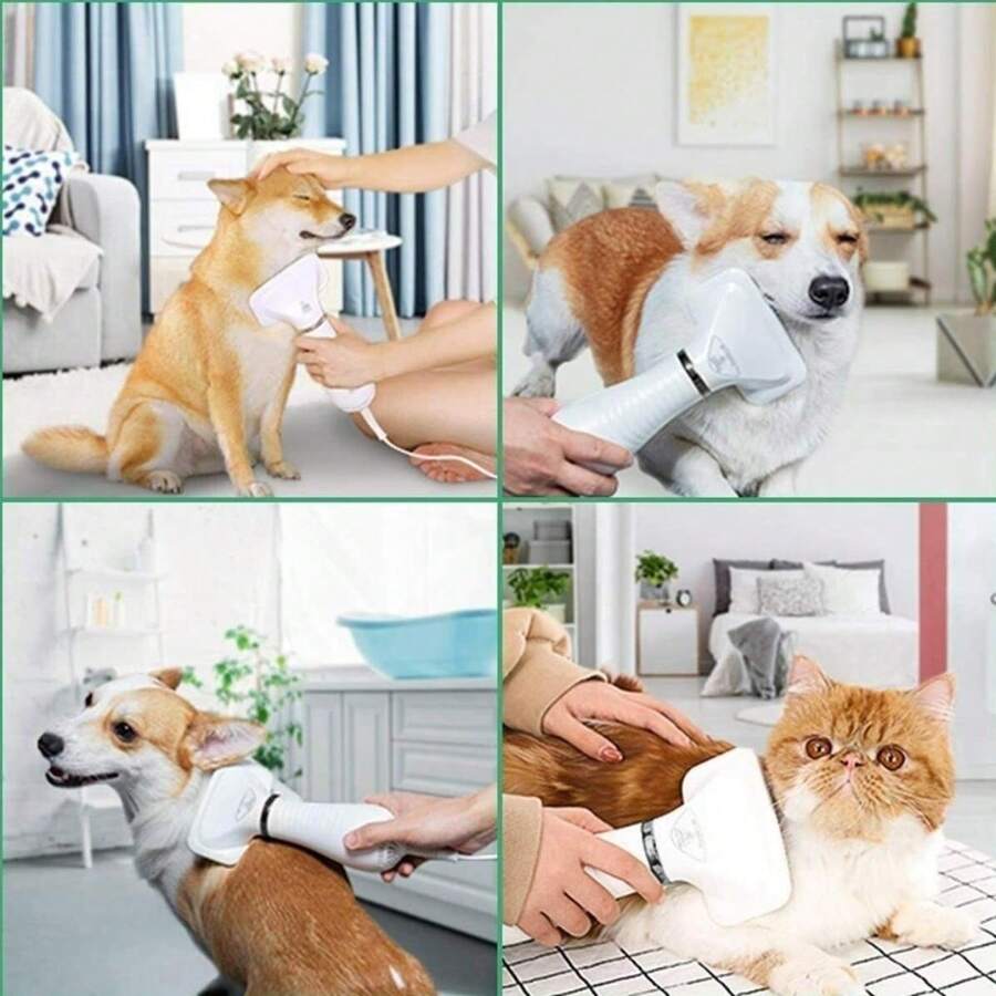 Pet Dryer Brush Dry Removes Dog Rabbit Cat Hair 110v SHEIN ITALIA