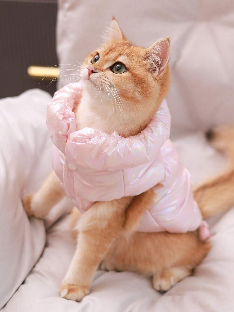 New Dog Coat Vest, Winter Pet Princess Dress Cotton Outfit, Dog Jacket