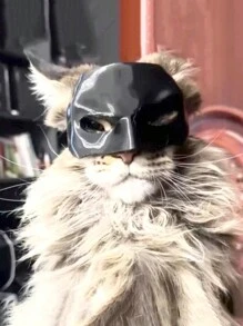 Mũ bảo hiểm dơi bằng nhựa cho mèo, có thể làm cho mèo thời trang hơn, mũ che mặt cho thú cưng, phụ kiện nửa mặt vui nhộn và phong cách cho thú cưng - Nhiều màu - Xem 5