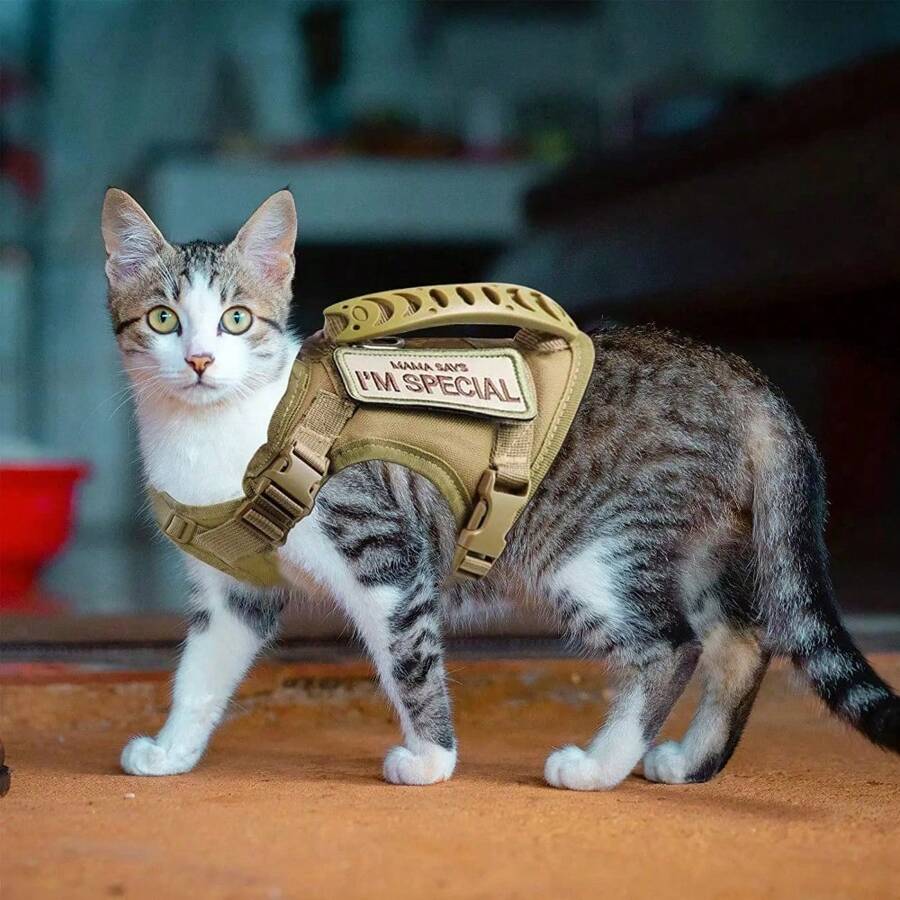 For Walking Escape Proof Adjustable Pet Vest Harness Soft Mesh With