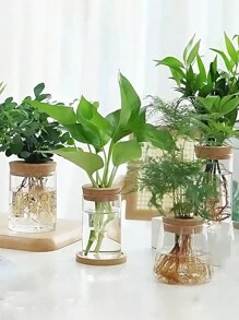 1 件透明玻璃花瓶，玻璃容器，适用于水培植物，单茎花瓶，非常适合家庭和办公室装饰、植物繁殖、圣诞礼物、母亲节礼物、办公室/家庭装饰和真实植物装饰 - 透明 - 查看 5