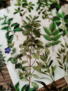 40 件/包植物叶子装饰 PET 贴纸 - 均碼 - 查看 4