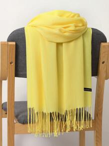 经典女士纯色流苏时尚保暖围巾，休闲可爱优雅街头富丽堂皇商务派对涤纶柔软围巾，适合所有季节冬季秋季