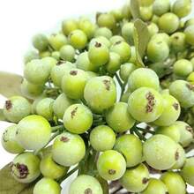 1/3/6PCS 绿色人造浆果茎圣诞采摘花环装饰，人造浆果，逼真的绿色浆果带茎，假水果绿色浆果适用于圣诞婚礼，DIY 新娘花束，家庭厨房派对装饰，家庭，户外，办公室，花园，婚礼，商店装饰，也是 DIY 工艺品、桌面装饰、浪漫装饰、春、夏、秋、冬、四季和圣诞节通用装饰花的理想选择 - 彩色 - 查看 7