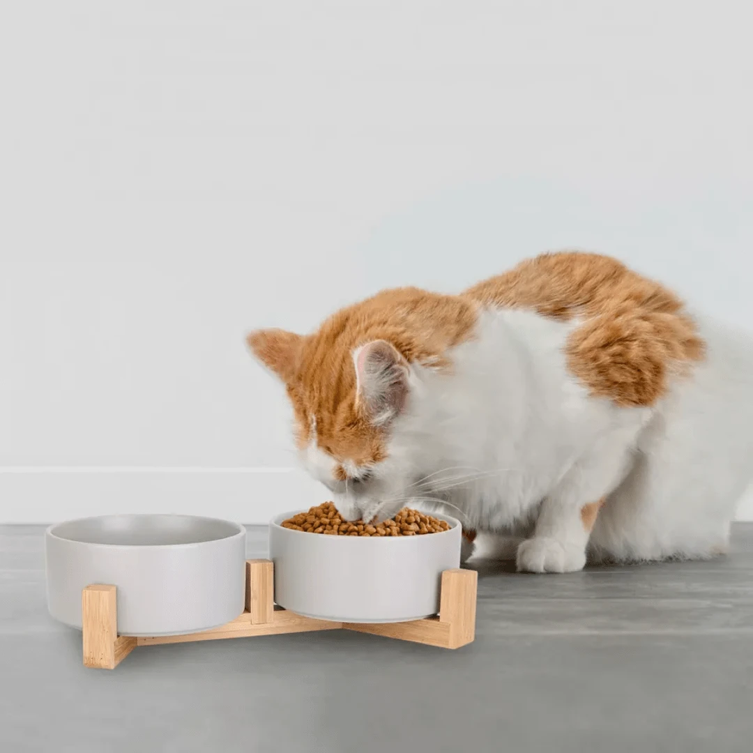 Ceramic Raised Cat Bowl, High Stand Pet Food Water Bowl, Prevent Neck