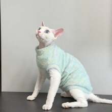 Quần áo mèo Sphynx không lông, Devon Rex Pet Fleece không tay mềm mại ấm áp mặc ở nhà cho mùa thu/đông - màu xanh lá - Xem 3