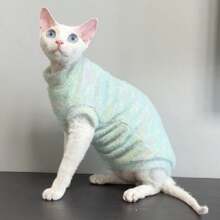 Quần áo mèo Sphynx không lông, Devon Rex Pet Fleece không tay mềm mại ấm áp mặc ở nhà cho mùa thu/đông - màu xanh lá - Xem 4