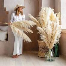 10-60 Pieces, Pampas Natural Puwei Flowers/Home, Decorative Ornaments, Weddings, Parties Holiday Decorations, Dried Flowers That Never Fade. - 米色 - 查看 1