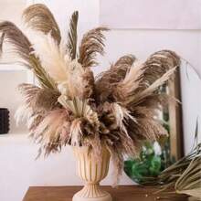 10-60 Pieces, Pampas Natural Puwei Flowers/Home, Decorative Ornaments, Weddings, Parties Holiday Decorations, Dried Flowers That Never Fade. - 米色 - 查看 6