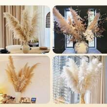 10-60 Pieces, Pampas Natural Puwei Flowers/Home, Decorative Ornaments, Weddings, Parties Holiday Decorations, Dried Flowers That Never Fade. - 米色 - 查看 4