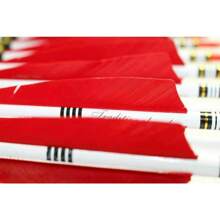 12PCS Red Turkey Feather 31 Inches Carbon Arrows Replacement Tips Targeting Arrows Archery For Recurve Longbow Hunting & Practice - Red - View 7