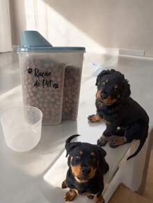 Pote para Ração decorado de Plástico com Tampa - Ração do Pet - Azul bebê - Visão 4