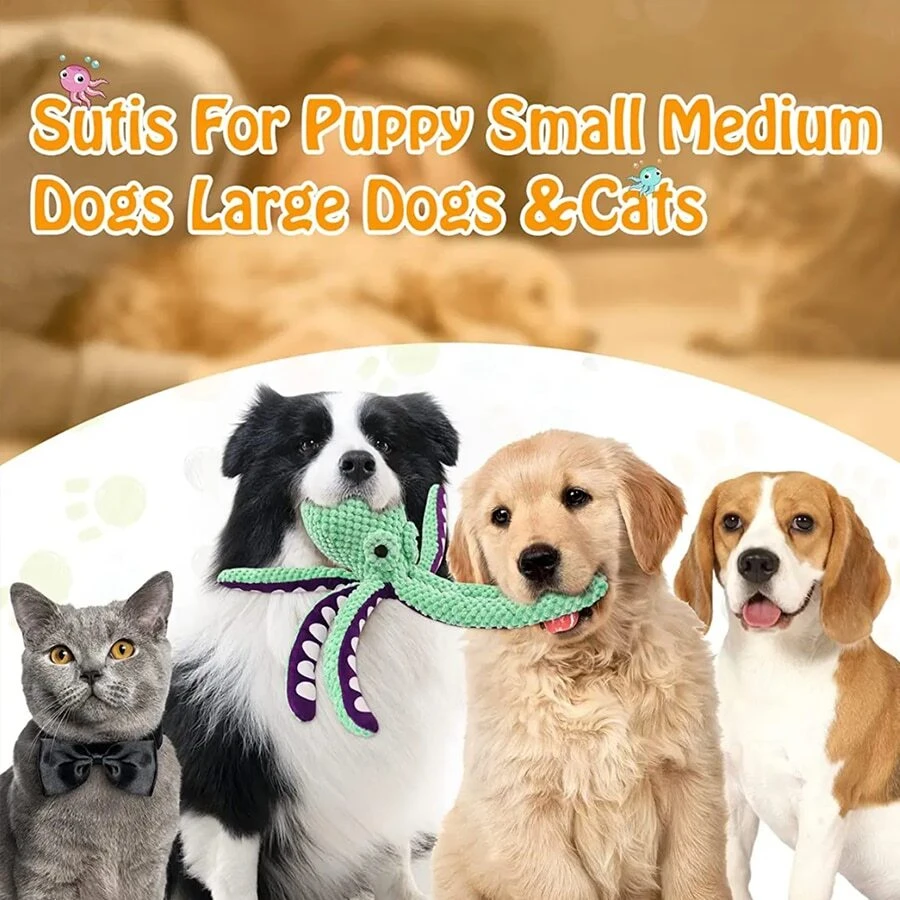 LUYJWZN Whiskerspot Jouet Pour Chien En Forme De Pieuvre écologique En Peluche Sans Rembourrage - Jouet Interactif à Mâcher Pour Chiens Agressifs (vert