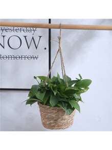 Handcrafted Woven Basket Hanging Planter With Jute Rope - Perfect For Indoor Or Outdoor Decor (Random Color) Gifts Birthday Graduation