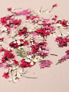 1 瓶花朵美甲装饰混合粉色红色人造花瓣叶子满天星 3D 花朵凝胶抛光 DIY 美甲配件可爱饰品美甲饰品美甲沙龙用品 - 彩色 - 查看 4