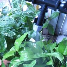 1 Set Adjustable Plastic Drip Irrigation Kit With Universal Connectors - Misting Nozzle System, For Home Garden Yard Misting Micro Drip Cooling, Manual Operation, No Batteries Needed For Garden Watering, With Plant Flower Plastic Mist Nozzles, Drip Emitters, Patio Succulents Sprinklers, Shower Heads - Multicolor - View 11