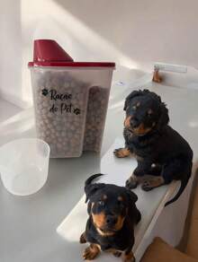 Decorated Plastic Food Container With Lid - Pet Food - 紅色 - 查看 3