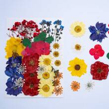 35pcs Dried Pressed Flowers For Resin Molds, Real Pressed Flowers Dry Leaves Kit For Art Crafts Resin Jewelry Making Scrapbook Supplies Card Making Soap Candle DIY Nails Decor| Valentine Day's Gift| Couple Gift| Christmas Gift Xmas Gift| Halloween Gift Decor