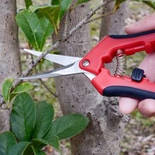 1/3 件直刃和弯刃修枝剪、园艺剪刀、不锈钢修枝剪、修剪工具、园艺用品 - 彩色 - 查看 13
