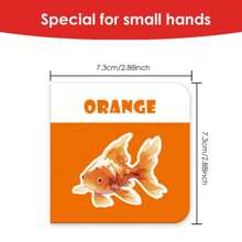 10册套装，适合0-3岁儿童的早期学习色彩认知，英文内容，10种常见颜色搭配相应的生活场景、食物、动物、用品，生动形象，小尺寸设计适合0-3岁儿童握持，耐用抗撕裂，圆角，方便拉出式包装 - 英語 - 查看 7