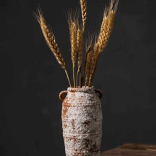 景德镇复古风格陈年水培陶瓷容器，仿古陶瓷花瓶，艺术质朴陶瓷花瓶，奢华装饰，禅意花瓶，日式装饰工艺品，桌面书房装饰小陶瓷花盆 - 復古做舊紅 - 查看 5