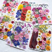 35pcs Dried Pressed Flowers For Resin Molds, Real Pressed Flowers Dry Leaves Kit For Art Crafts Resin Jewelry Making Scrapbook Supplies Card Making Soap Candle DIY Nails Decor| Valentine Day's Gift| Couple Gift| Christmas Gift Xmas Gift| Halloween Gift Decor
