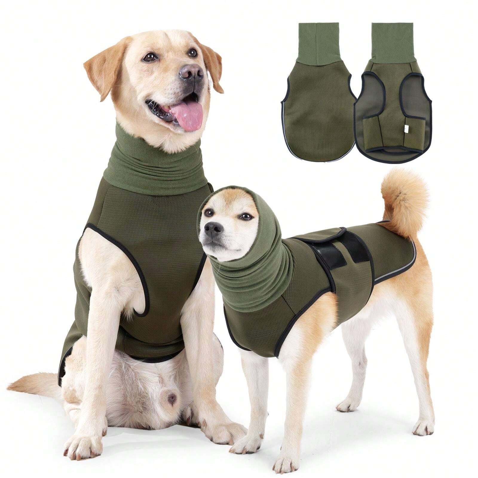 Calming Fireworks Anxiety In Dogs: Benadryl'S Role - m43bxw1