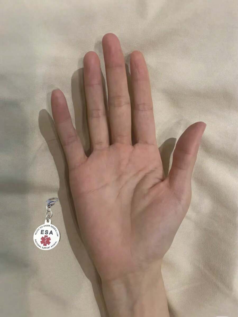 Small Emotional Support Animal ESA Tag Red Medical Alert Symbol 1 Inch