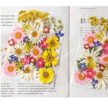 35pcs Dried Pressed Flowers For Resin Molds, Real Pressed Flowers Dry Leaves Kit For Art Crafts Resin Jewelry Making Scrapbook Supplies Card Making Soap Candle DIY Nails Decor| Valentine Day's Gift| Couple Gift| Christmas Gift Xmas Gift| Halloween Gift Decor
