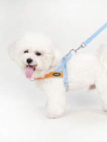 新款 HP389 彩色马鞍形狗背带，柔软舒适，防拉扯 - 淺藍色 - 查看 10