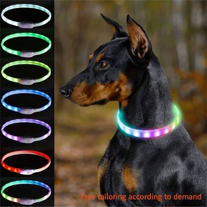 1pc Rechargeable Luminous Pet Collar, 4 Lighting Modes: Steady, Fast Flashing, Slow Flashing, Flowing, Suitable For Pets' Night Activity, Can Be Cut To Fit