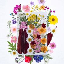 35pcs Dried Pressed Flowers For Resin Molds, Real Pressed Flowers Dry Leaves Kit For Art Crafts Resin Jewelry Making Scrapbook Supplies Card Making Soap Candle DIY Nails Decor| Valentine Day's Gift| Couple Gift| Christmas Gift Xmas Gift| Halloween Gift Decor
