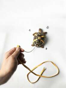 1 dây dắt rùa đi dạo sáng tạo, dây dắt thằn lằn, dây dắt thú cưng nhỏ đi dạo, dây dắt cổ thú cưng, dây dắt rùa đi dạo, dây dắt rùa đa năng đeo ngực lưng - Nhiều màu - Xem 12