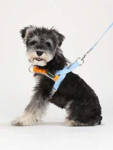 新款 HP389 彩色马鞍形狗背带，柔软舒适，防拉扯 - 淺藍色 - 查看 11