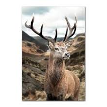 1 tấm áp phích in vải canvas phong cảnh thiên nhiên Bắc Âu động vật bò hươu hồ tuyết núi rừng đường sắt nghệ thuật treo tường tranh trang trí hình ảnh không có khung - Nhiều màu - Xem 48