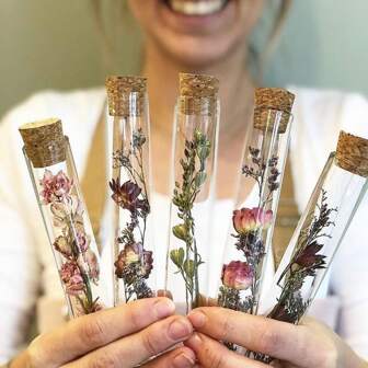 20pcs/10pcs 透明塑料试管带软木塞，密封性好，15x100mm/16x100mm/16x150mm/20x150mm，适用于派对糖果分配、DIY 分配装瓶、珠宝种子珠粉香料液体储存、实验室使用或装饰、花园装饰、家居装饰、植物栽培、植物装饰，密封性好