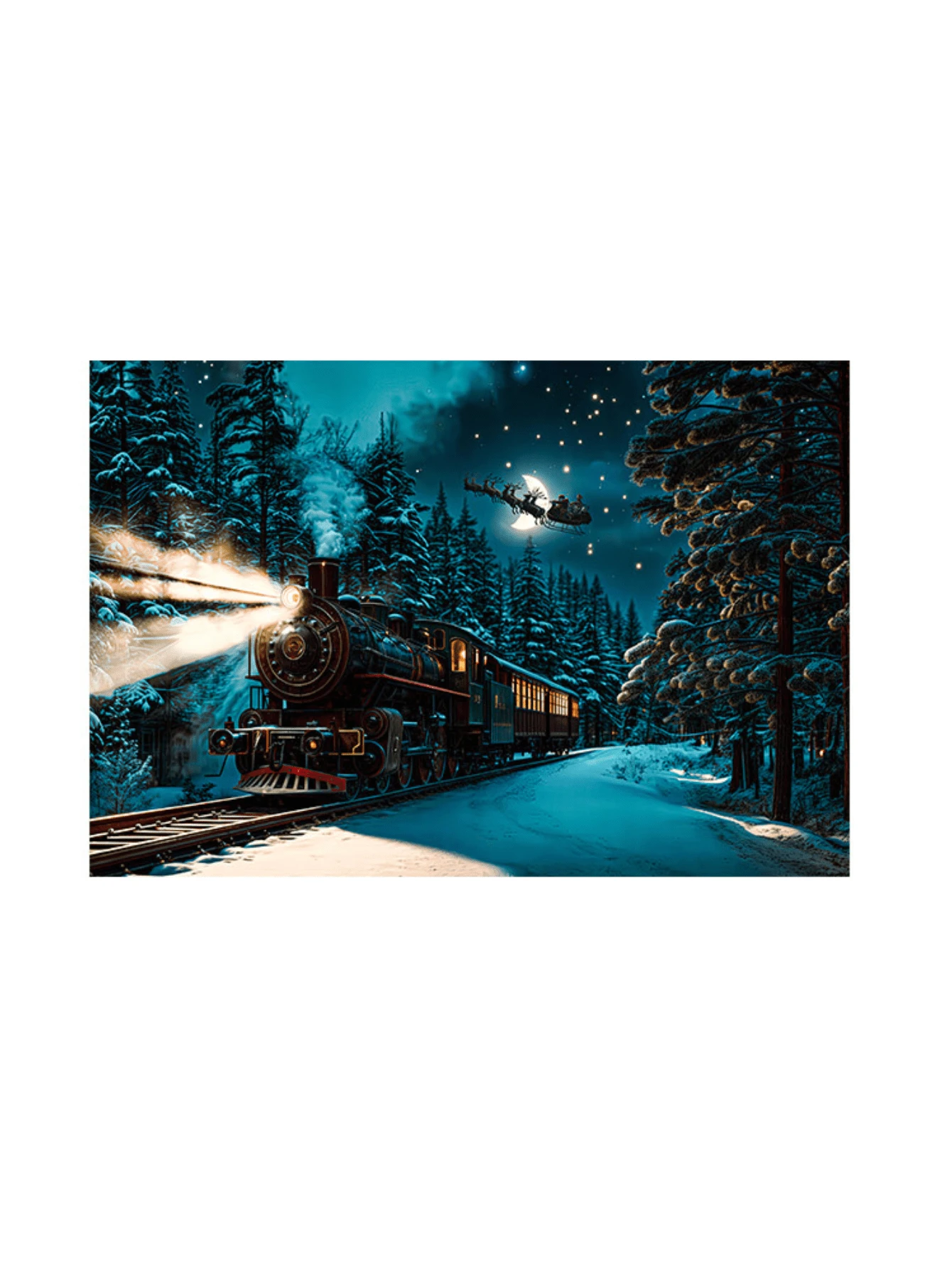 3D Sublimated Fabric Photographic Background Christmas 2.20x1.50 Horizontal - FFF-2196 - View 1