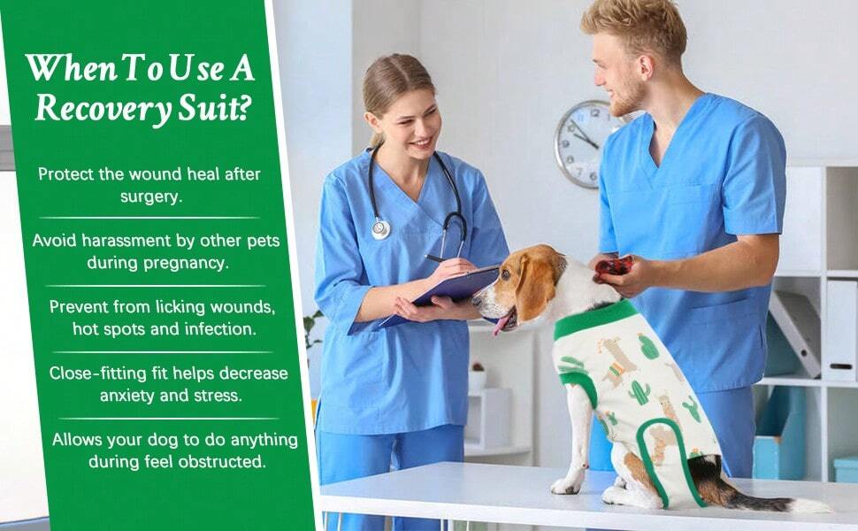 Tuta Post-Operatoria Per Cani - Anti-Leccamento, Rosa Taglia L, Per Piccoli Animali