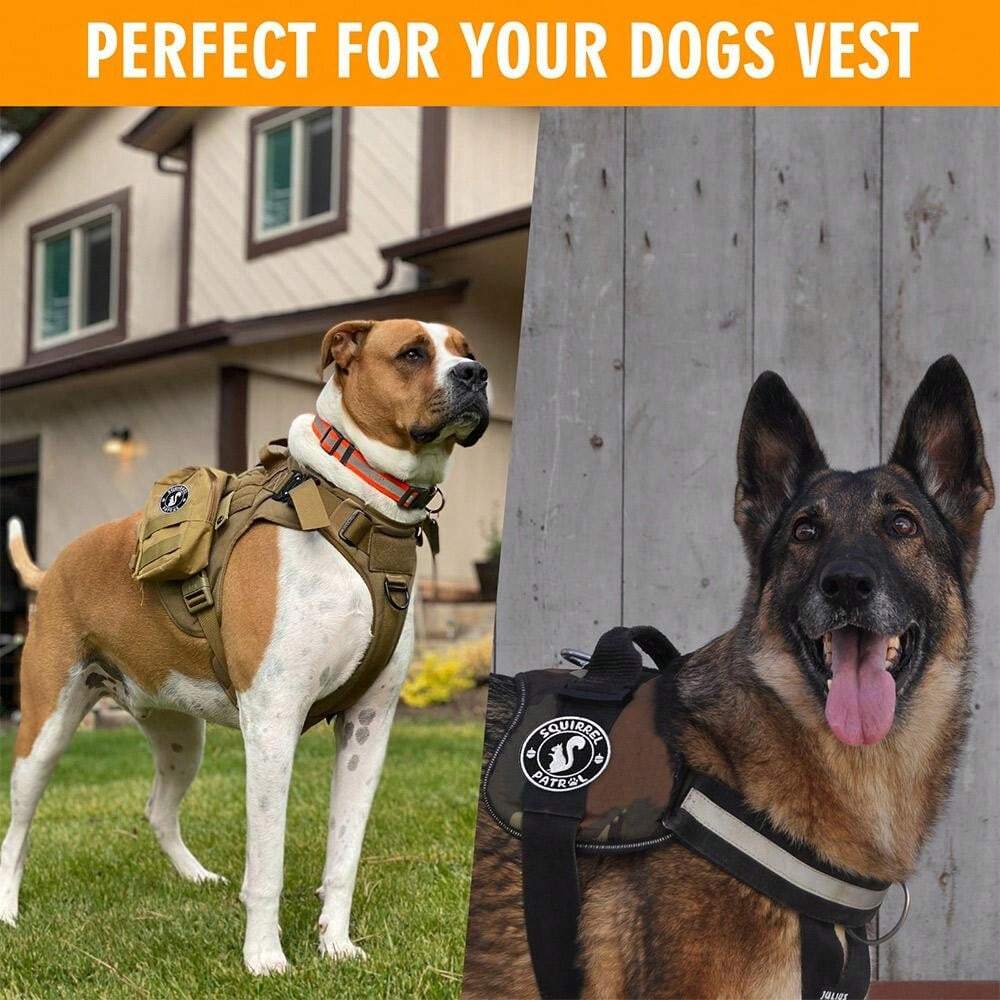 Squirrel Patrol Patch 1 Pc Funny Embroidered Animal Patch With Hook