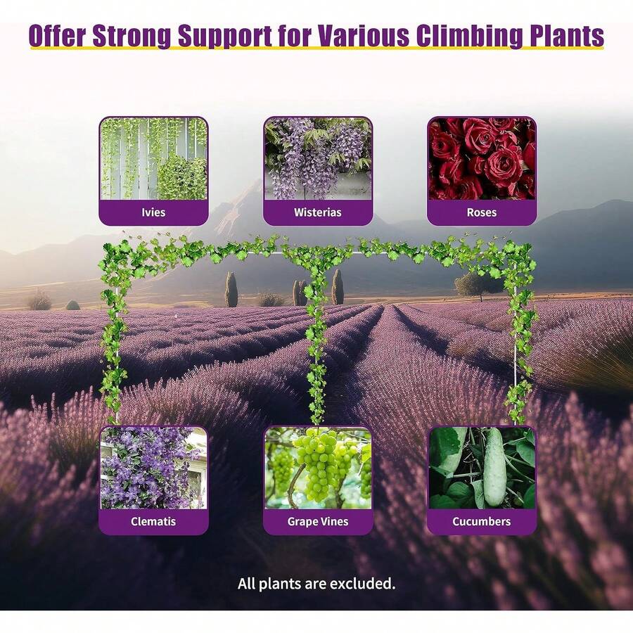 CNCEST CNCEST 6M X 3M Wedding Backdrop Stand, Wedding Party Backdrop