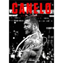 1 件无框励志拳击传奇迈克泰森拳击手海报帆布画成功金钱墙壁画适用于客厅家居装饰